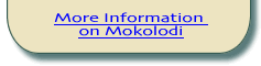 Mokolodi.com 